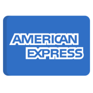 american express payments
